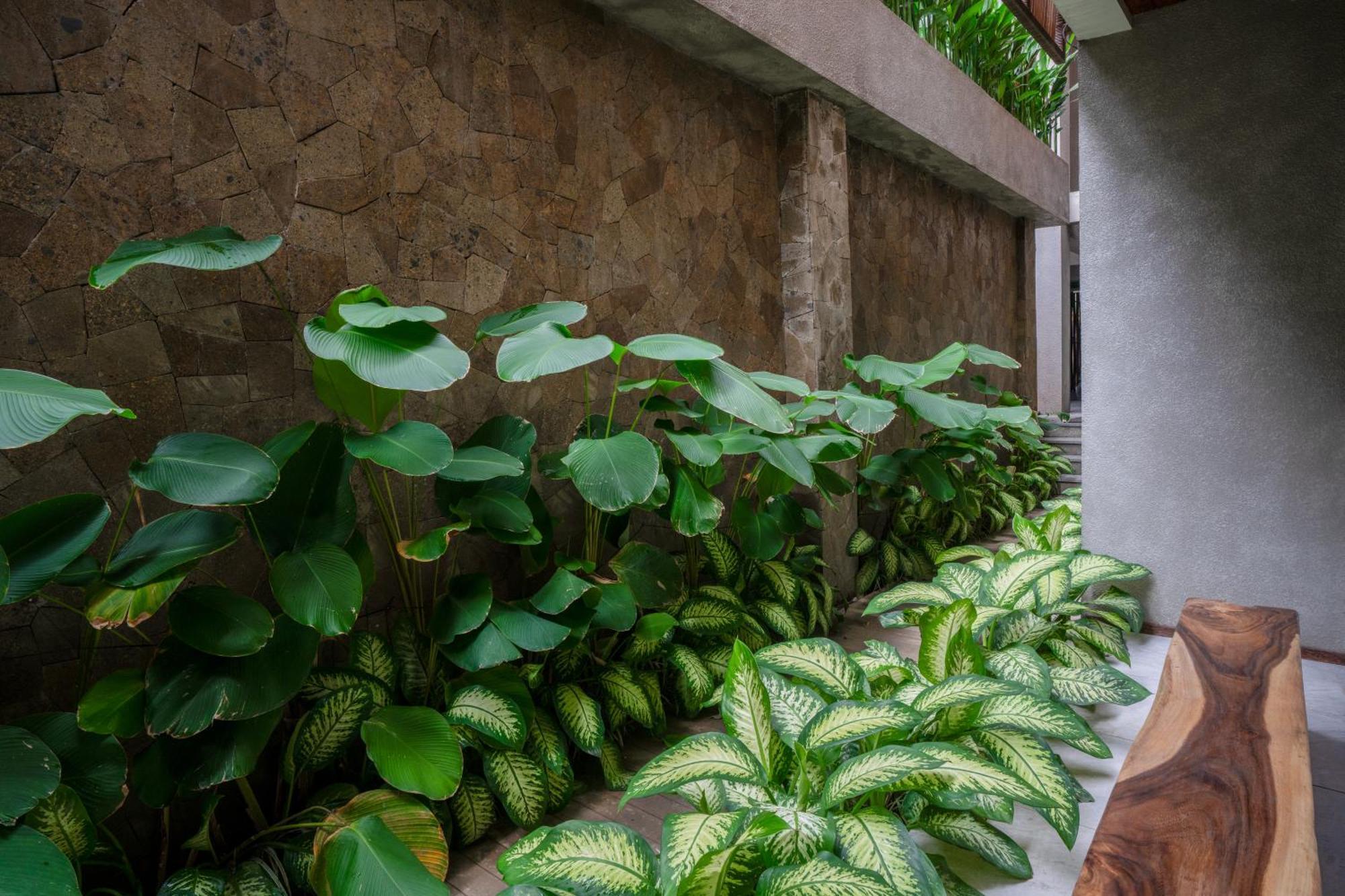Kammora Living And Villas - Bali Invest Club 坎古 外观 照片